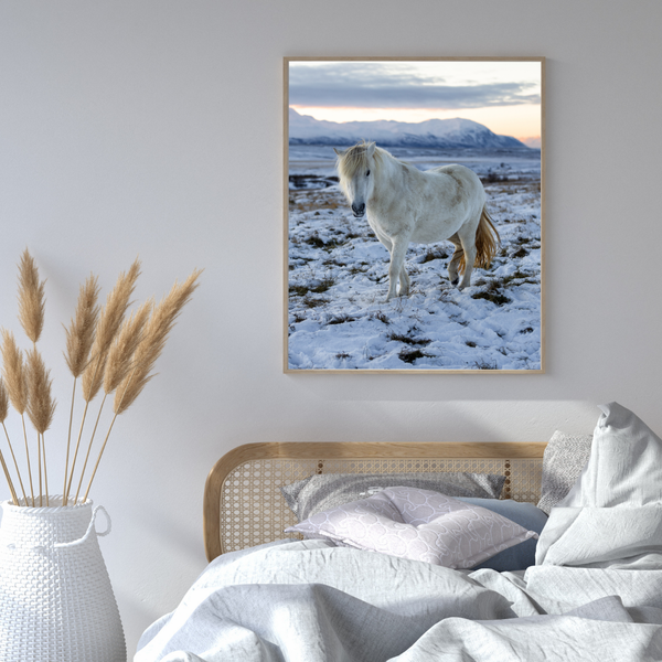 Cavalo branco